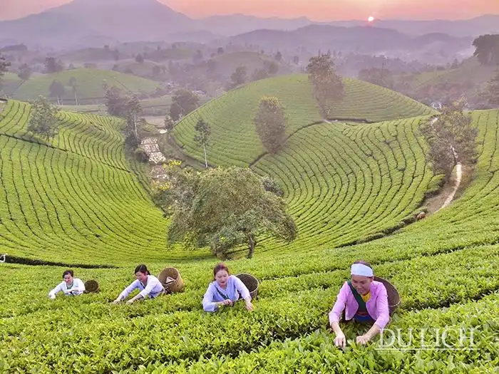 Long Cốc, Phú Thọ – điểm du lịch trải nghiệm hấp dẫn