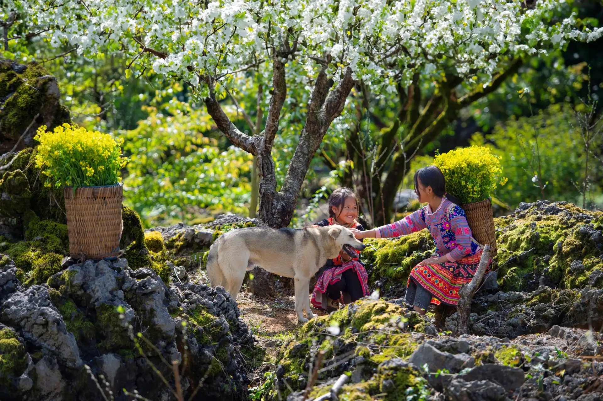 du lich la di nhung ngay dang… - 5