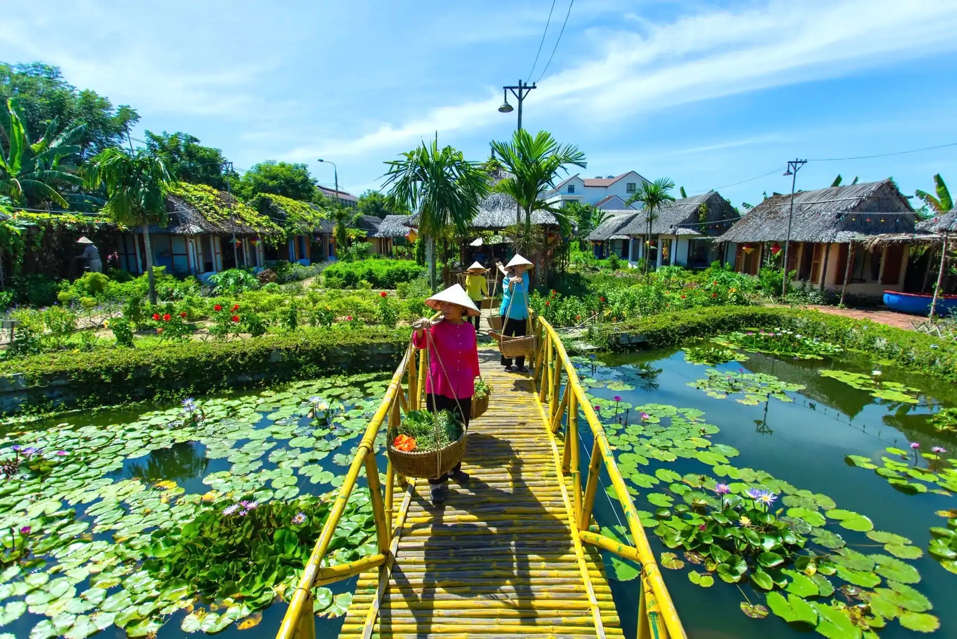 Du lịch Việt Nam 2025 vinh danh 10 'khách sạn xanh' hàng đầu - 12