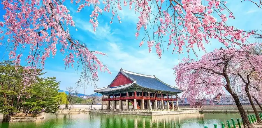 Săn Vé Máy Bay Giá Rẻ Cùng Korean Air Để Khám Phá Hàn Quốc Trọn Vẹn Hơn