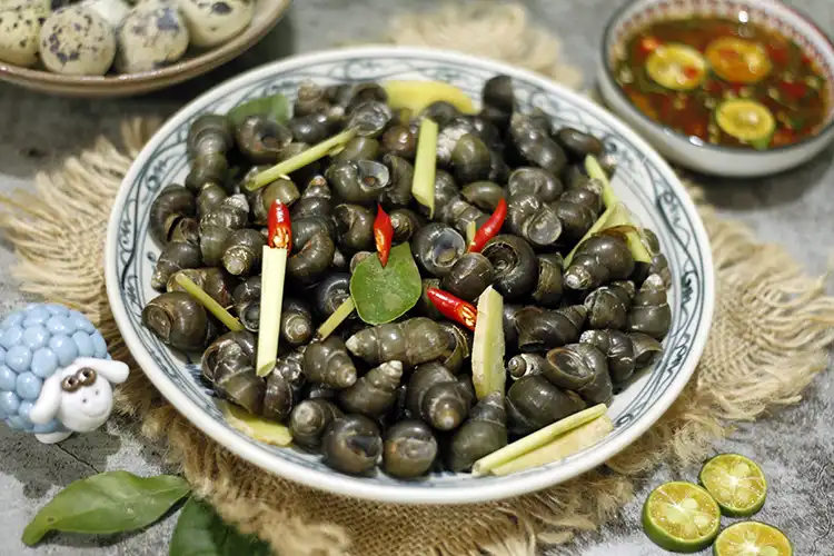 Ốc luộc là món ăn được yêu thích tại Hà Nội
